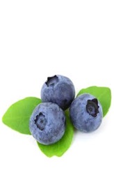 Arandanos
