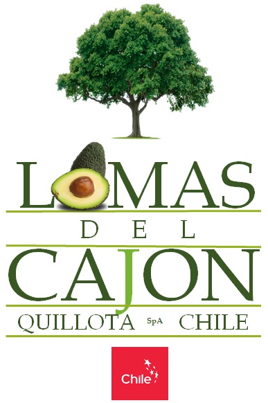 lomasdelcajonSpA